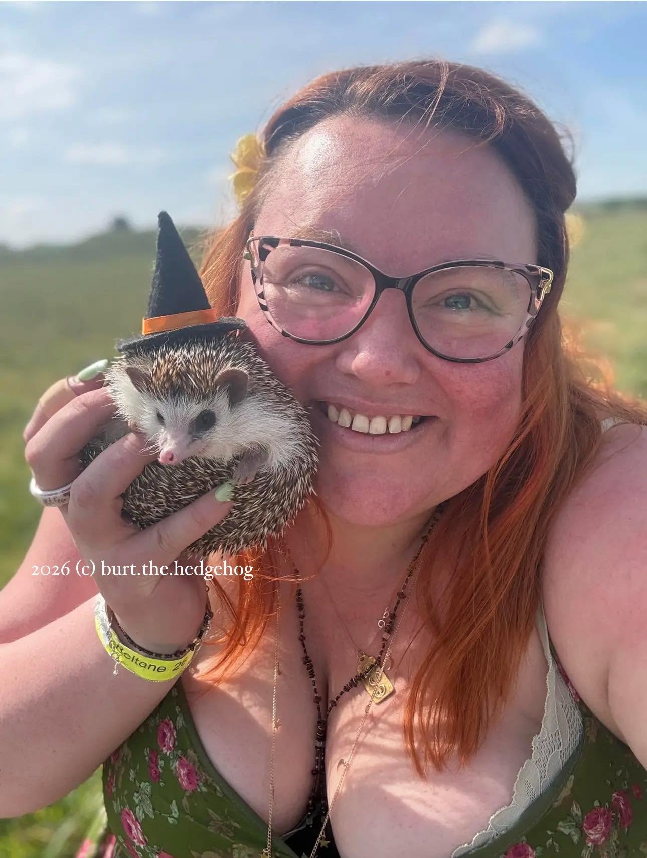 Burt the Hedgehog celebrating Beltane 2026 at Thornborough Henge.